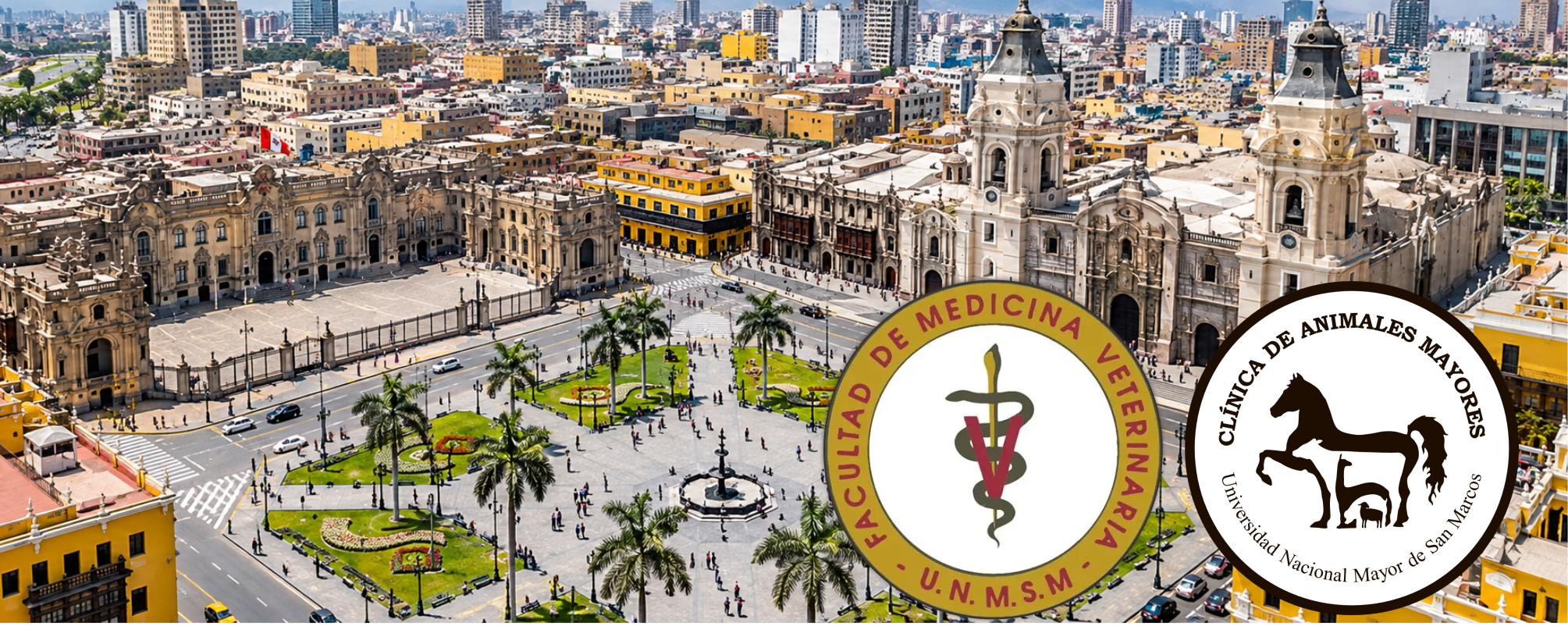 Vista de la Plaza Mayor de Lima incluida en el afiche del curso