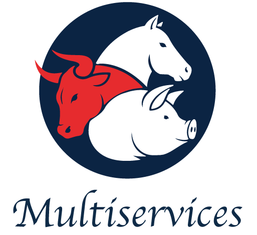 Multiservices