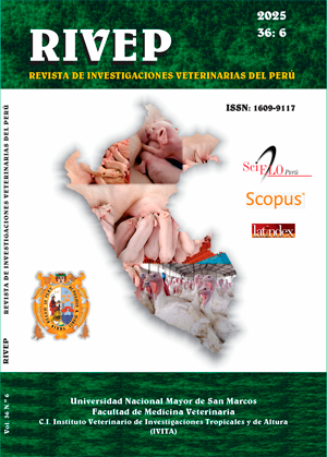 Vol. 36 Núm. 6 (2025)