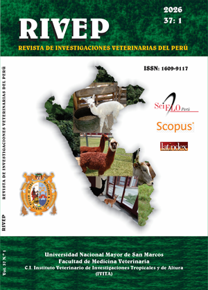 Vol. 37 Núm. 1 (2026)