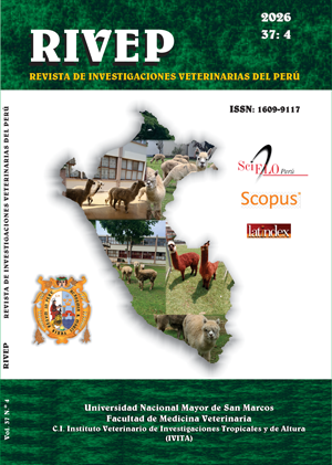 Vol. 37 Núm. 4 (2026)