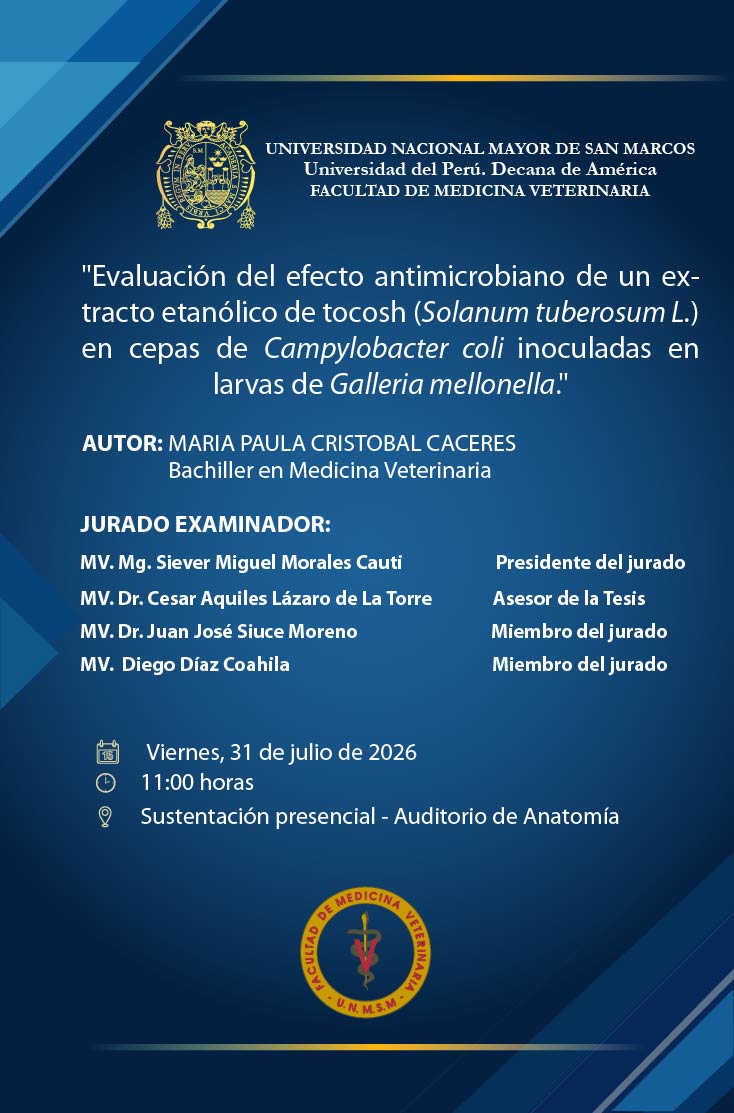 Sustentación de tesis del  bachiller MARIA PAULA CRISTOBAL CACEREsSs