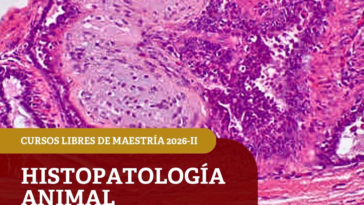 CURSOS LIBRES HISTOPATOLOGIA ANIMAL