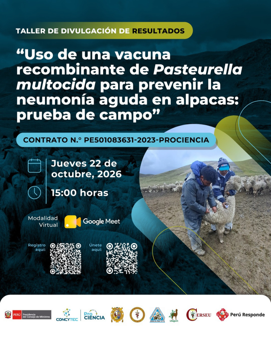 USO DE UNA VACUNA RECOMBINANTE DE PASTEURELLA MULTOCIDA PARA PREVENIR LA NEUMONÍA AGUDA EN ALPACAS: PRUEBA DE CAMPO