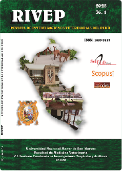 INICIO 13 revistaa1 - copia (2)