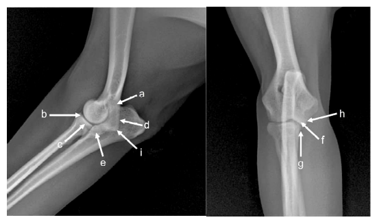 1609 9117 rivep 36 01 e25977 gf1