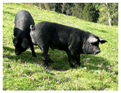 1609 9117 rivep 36 01 e27373 gf1