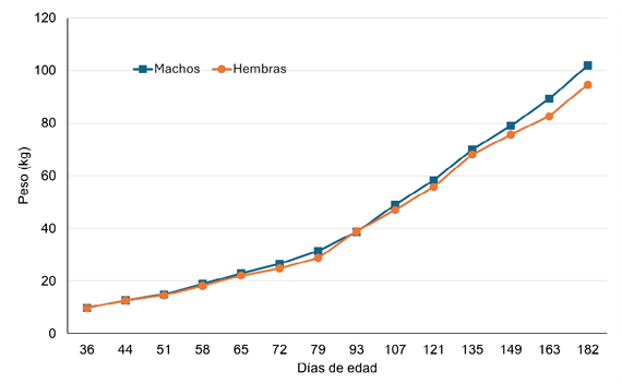 1609 9117 rivep 36 01 e27373 gf2