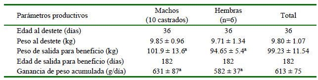 1609 9117 rivep 36 01 e27373 gt1