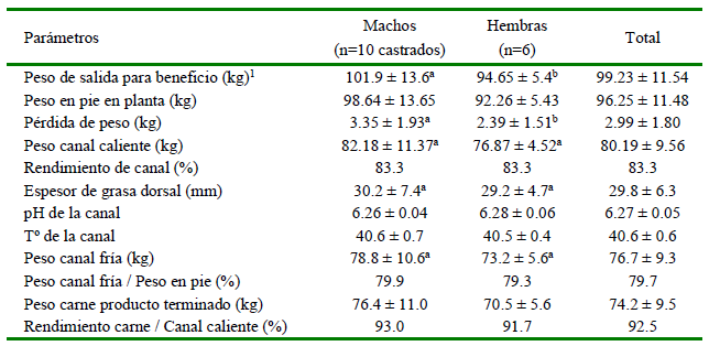 1609 9117 rivep 36 01 e27373 gt2