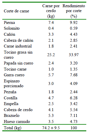 1609 9117 rivep 36 01 e27373 gt3