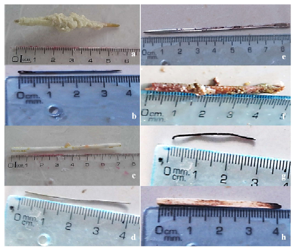 1609 9117 rivep 36 01 e27604 gf2