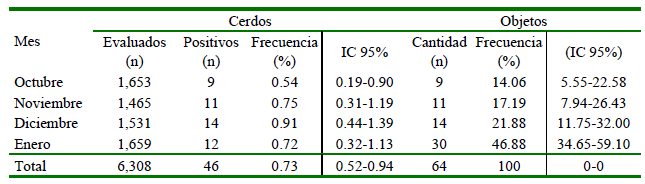 1609 9117 rivep 36 01 e27604 gt1