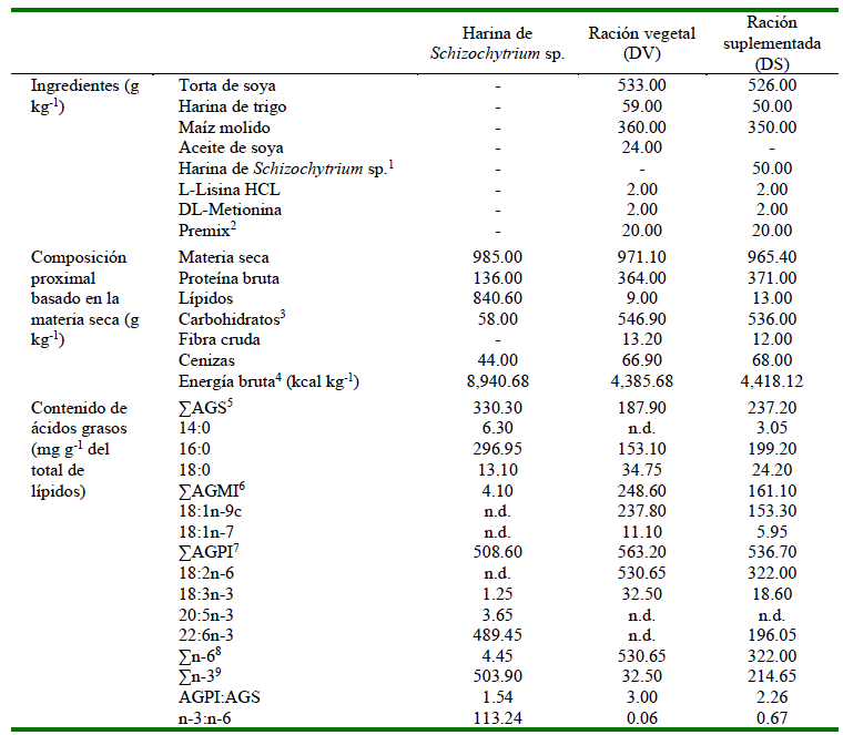 1609 9117 rivep 36 01 e28040 gt1