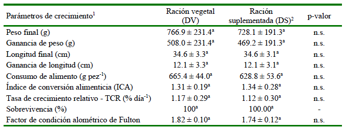 1609 9117 rivep 36 01 e28040 gt2