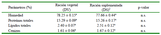 1609 9117 rivep 36 01 e28040 gt3