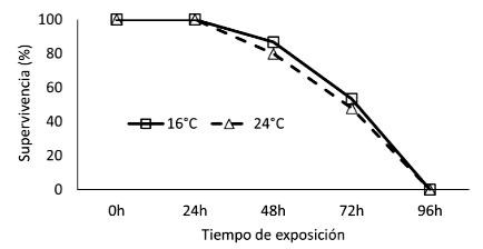 1609 9117 rivep 36 01 e30205 gf1