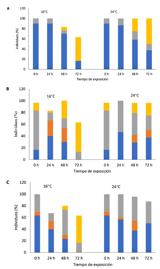 1609 9117 rivep 36 01 e30205 gf2