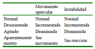 1609 9117 rivep 36 01 e30205 gt1