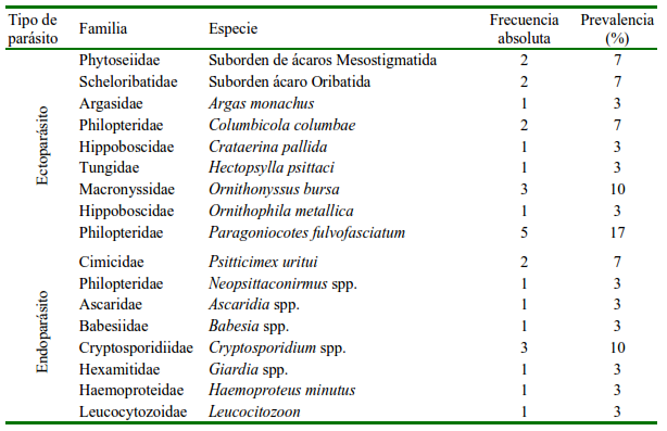 1609 9117 rivep 36 02 e28680 gt3