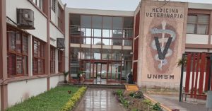 banner rivep camino 100