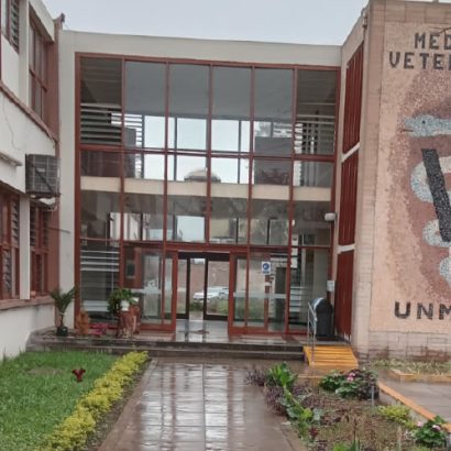 Informe Revista de Investigaciones Veterinarias del Perú (RIVEP) 2025