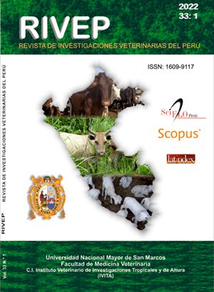 Microplásticos en el “cangrejo peludo” Romaleon setosum (Molina, 1782) (Cancridae) del Perú