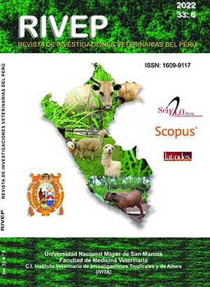 Estudio histológico de la glándula metatarsal modificada en la alpaca (Vicugna pacos)