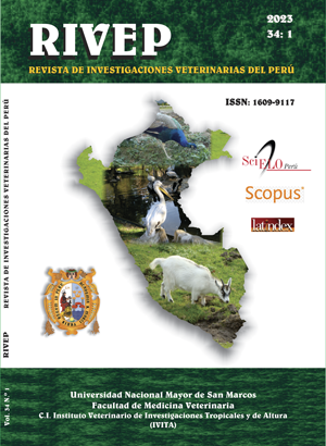 Aplicación del protocolo de auditoría Welfare Quality® en bovinos Holstein para engorda bajo condiciones desérticas