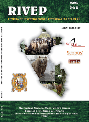 Farmacogenética, polifarmacia e interacciones medicamentosas. El panorama de la medicina individualizada en perros