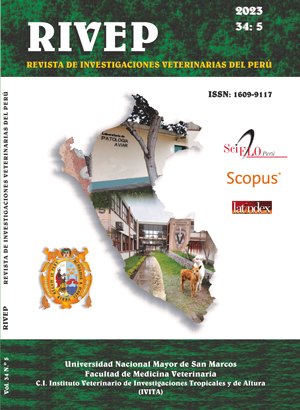 Frecuencia de diagnóstico ecográfico de hidropesía fetal canina y variables asociadas en una clínica veterinaria de Lima, Perú