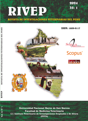 Caracterización del ovino criollo en las comunidades del distrito de Lambrama (Apurímac, Perú)