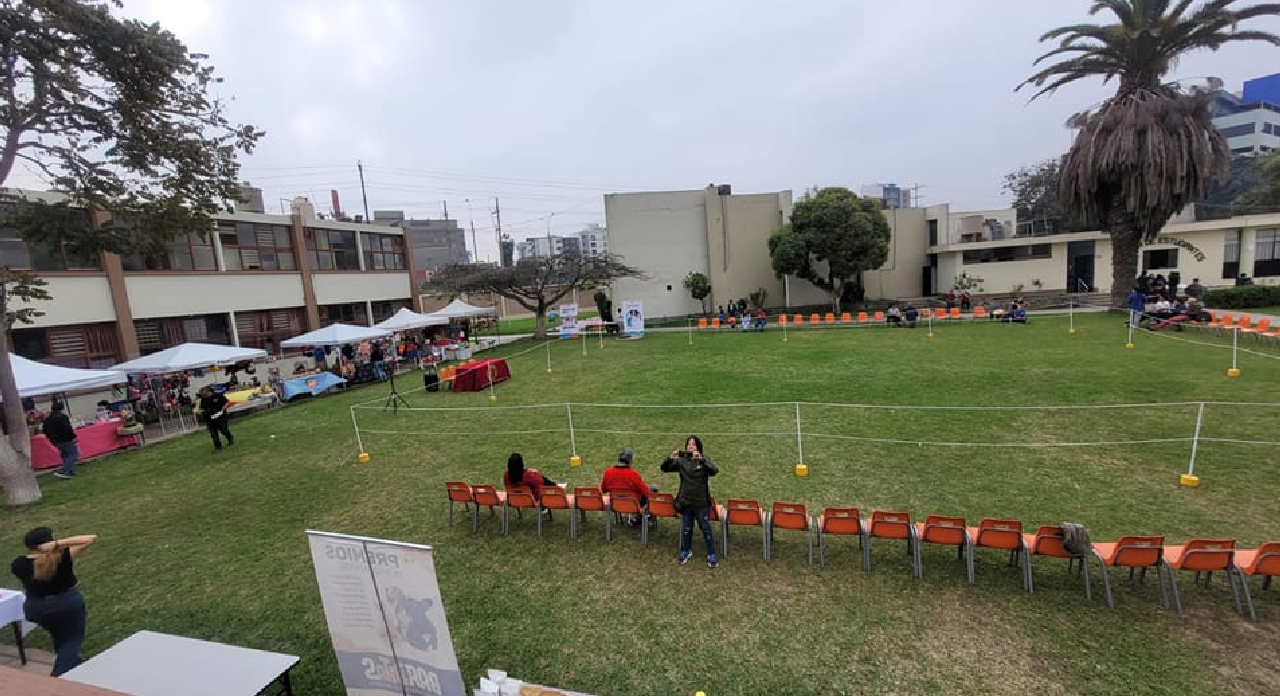 img fmv actividades3 100