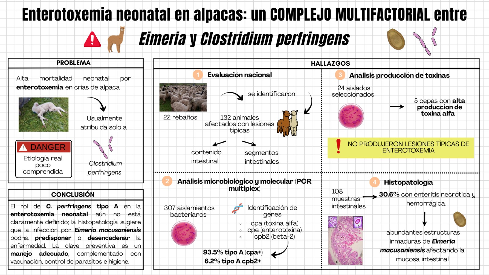 Enterotoximia neonatal en aplacas