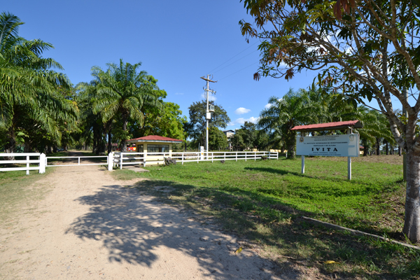 Estacion IVITA Pucallpa