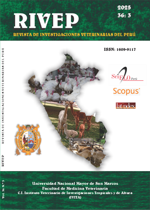 imagen RIVEP 2025 3 6