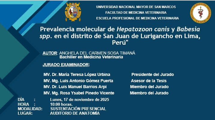 Sustentación de tesis de la bachiller Anghela Del Carmen Sosa Timaná