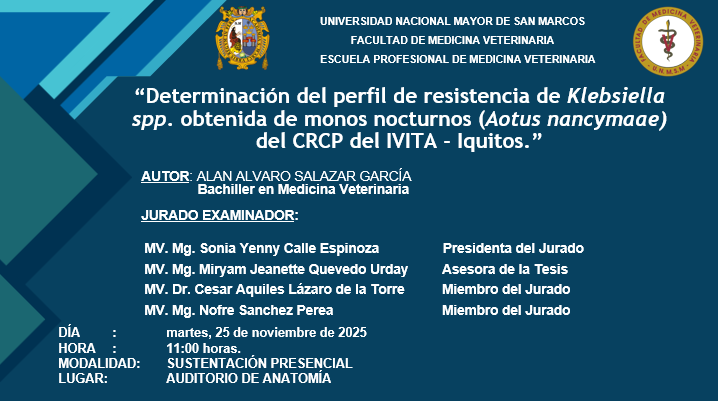 Sustentación de tesis del bachiller Alan Alvaro Salazar García