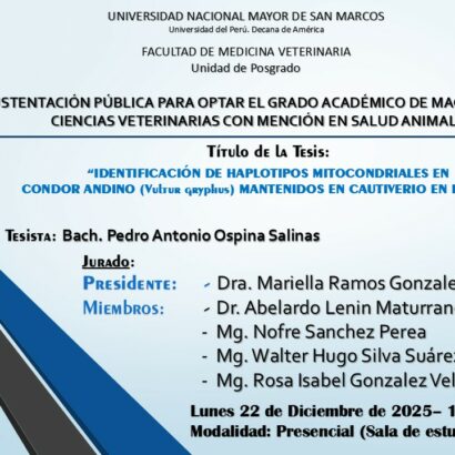 Sustentación de tesis del Bach. PEDRO ANTONIO OSPINA SALINAS