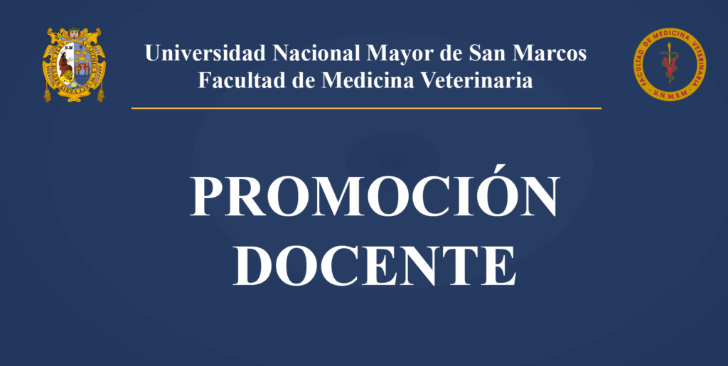 Cronograma de promoción docente 2025