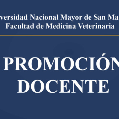 Cronograma de promoción docente 2025