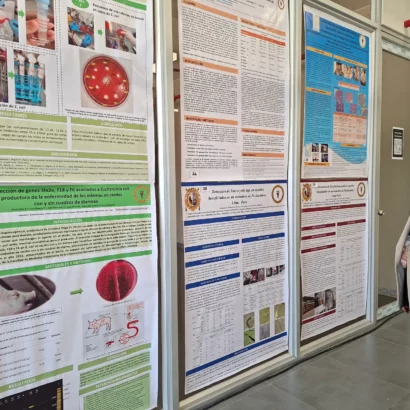 Actualización de las líneas de investigación de la FMV – 2025