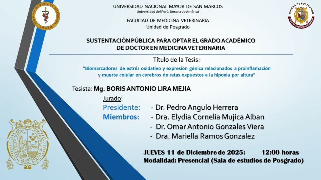 Sustentación de tesis del Mg. Boris Antonio Lira Mejia