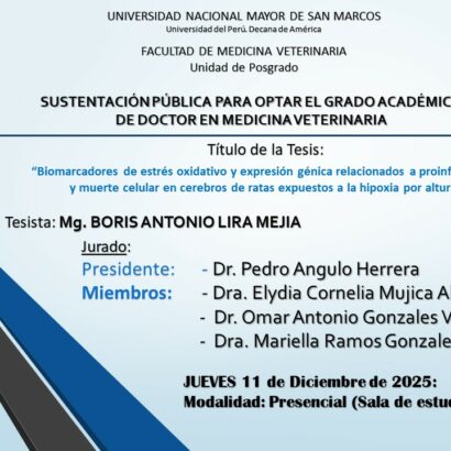 Sustentación de tesis del Mg. Boris Antonio Lira Mejia