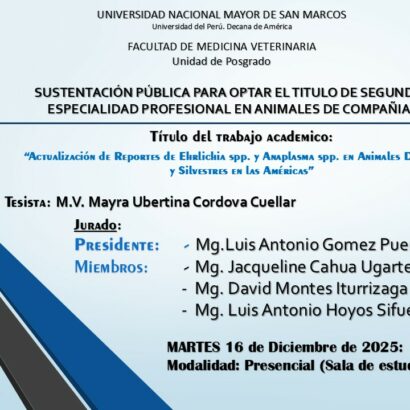 Sustentación de tesis del M.V. MAYRA UBERTINA CORDOVA CUELLAR