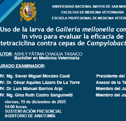 Sustentación de tesis de la bachiller Ashly Fátima Chagua Tasaico