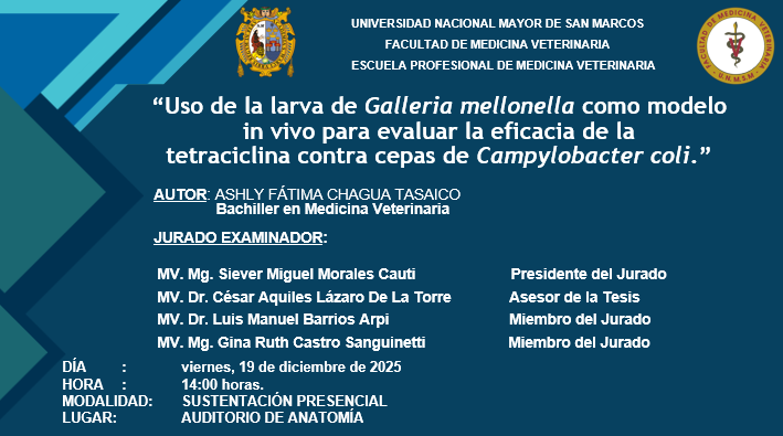 Sustentación de tesis de la bachiller Ashly Fátima Chagua Tasaico