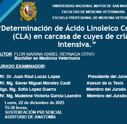 Sustentación de tesis de la bachiller Flor Marina Isabel Reynaga Otivo