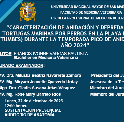 Sustentación de tesis de la bachiller Francis Ivonne Vargas Bautista