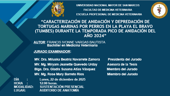 Sustentación de tesis de la bachiller Francis Ivonne Vargas Bautista